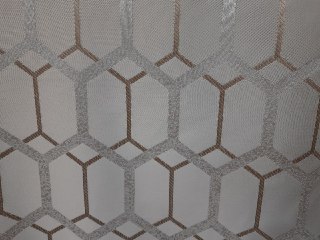 YANG 010, ���������� ����� 290 ��